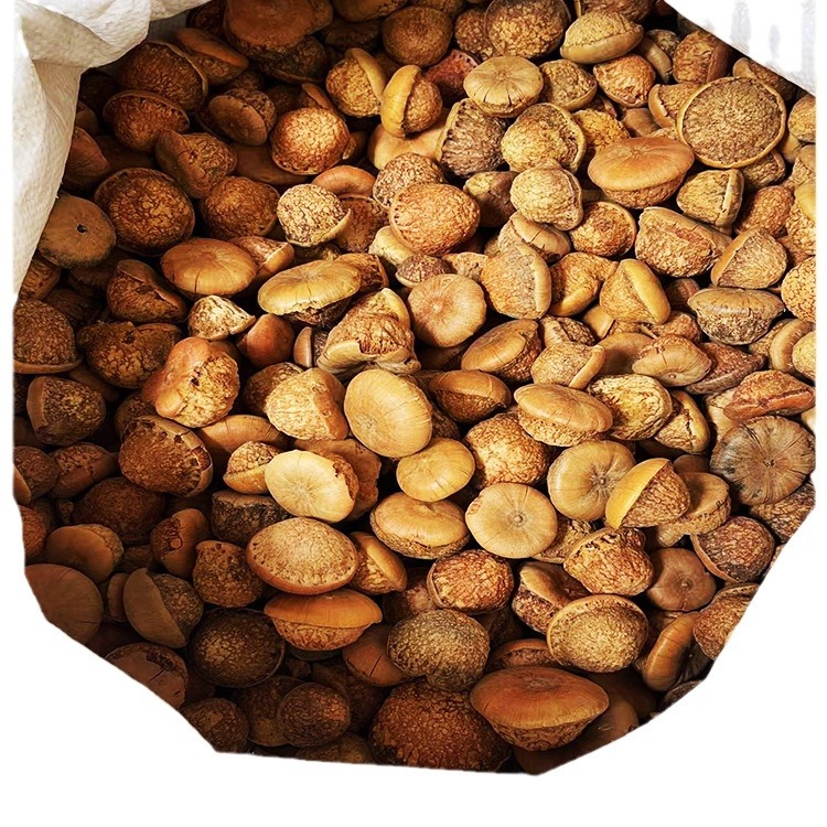 Guangxi Origin Straight Hair Fengliu Fruit Wholesale Fengliu Fruit Wine Ingredients New Goods on the Market and Large Supply Throughout the Year