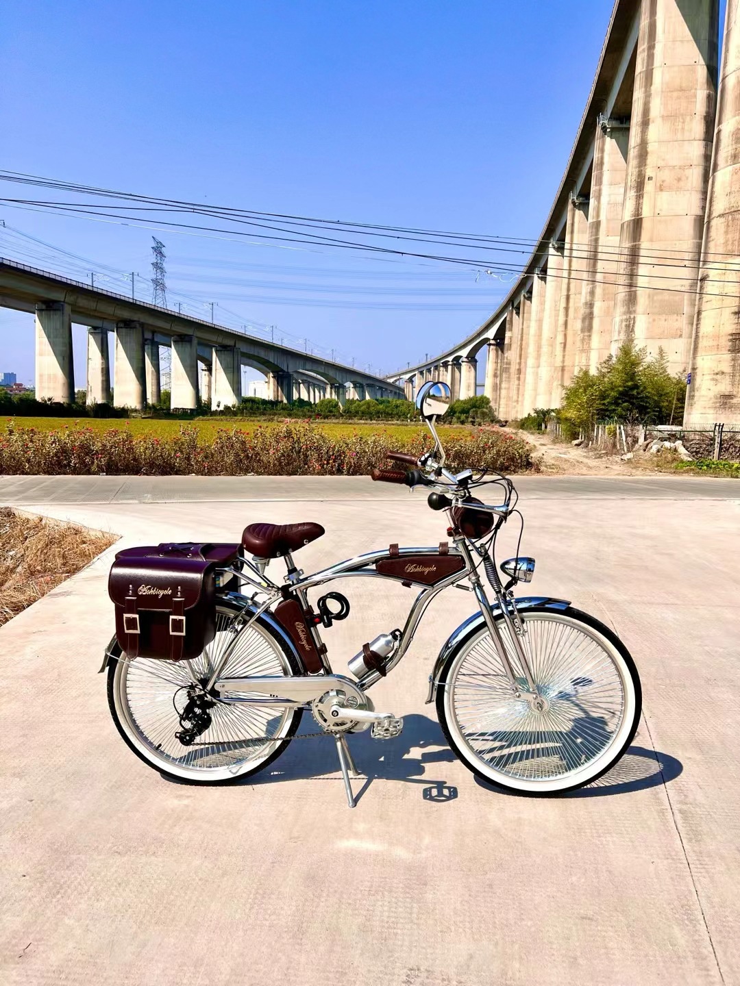 Silver Biao Internet Celebrant Luxury High-end Retro Bicycle Variable Speed Bicycle Classic Car Harley Road Car Travel Lady Car