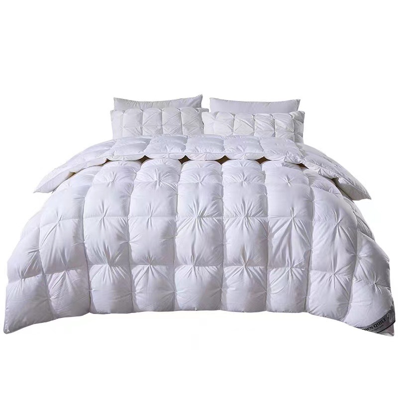 Hilton Five-Star Hotel Duvet 95 White Goose down Spring & Fall Quilt Core Winter Quilt Home Summer Quilt Wholesale