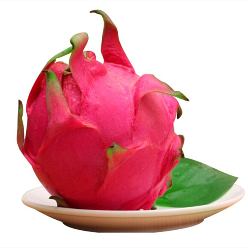 Pitaya Hainan Jindu No.1 Red Heart Pitaya Fresh Pregnant Women Fruit Red Meat Honey Bao Non Hainan Red Hydrangea