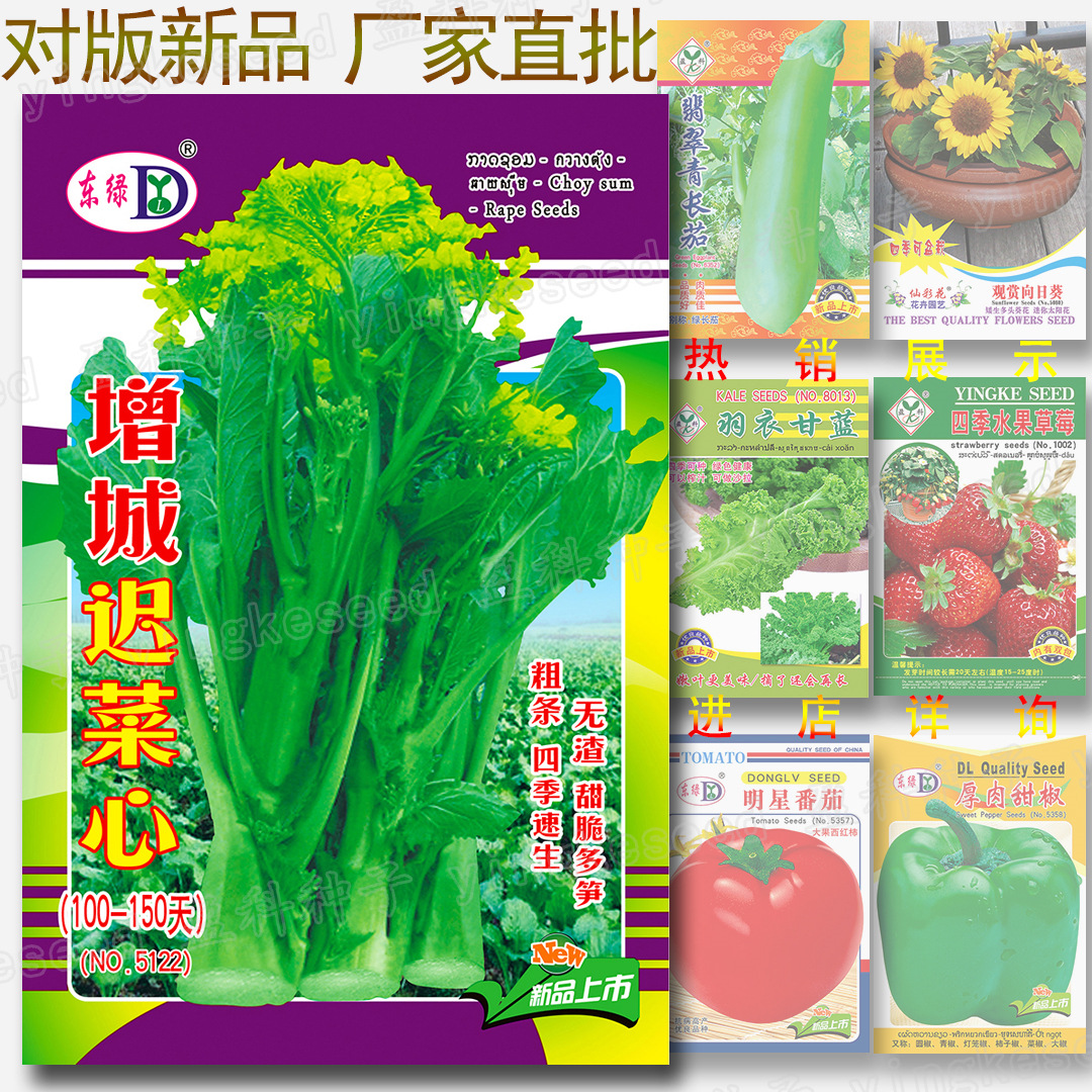 Семена Чи Цай Син из Цзэнчэн, 100-150 дней, семена цветка Чи, оптовая продажа сладких и хрустящих побегов бамбука, семена мха Лянчжоу