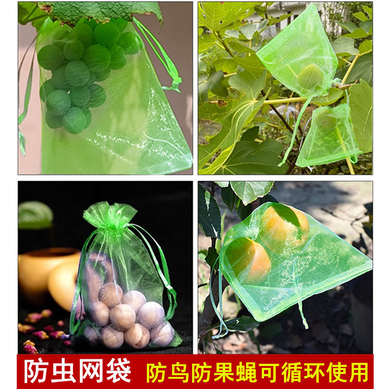 Manufacturer Wholesale Melon and Fruit Insect-Proof Mesh Bag Strawberry Fig Grape Fruit Bagging Insect-Proof Mesh Bag
