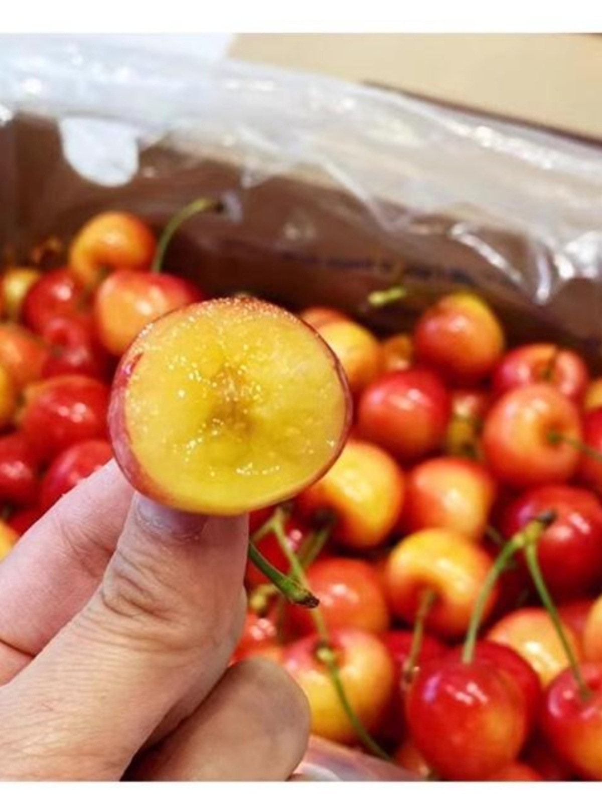 Chile Imported Rainier Cherries Fresh Fruit Rainier Yellow Large Cherries Sf Free Shipping