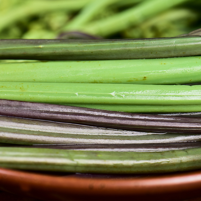 Bracken 1000g Yunnan Specialty Water-Retaining Wild Bracken Farm Wild Vegetables Dragon Claw Special Wild Vegetables and Wild Flowers