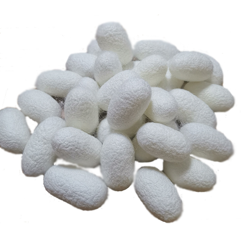 Complete Natural Cocoon Art Cocoon White Cocoon Colorful Cocoon Dry Cocoon Live Cocoon Clean High Quality