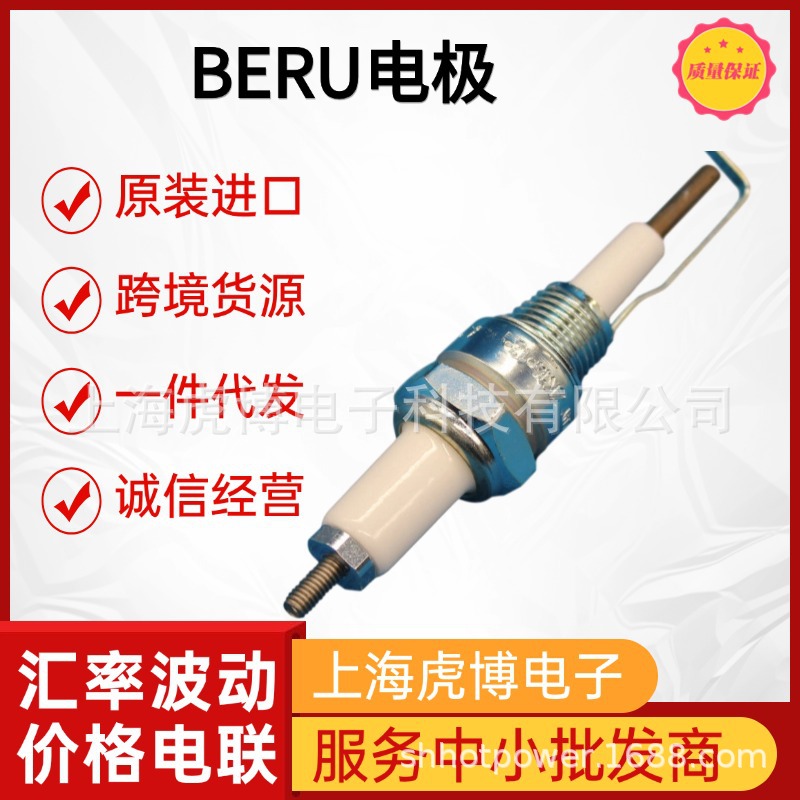 Dropshipping German Original Imported Beru Ignition Needle Beru Electrode
