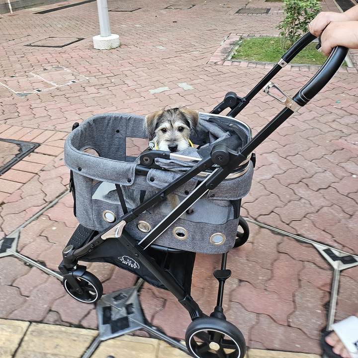 Cross-Border New Small Breathable Pet Stroller All-In-One Cat and Dog Teddy Portable Wholesale Out and Foldableing