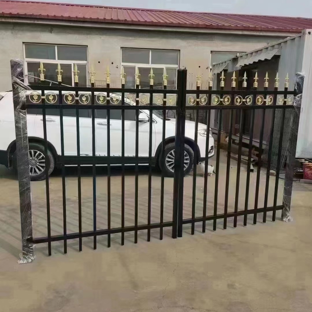 European Style Wrought Iron with Flower Folio with Door Insert Community House School Outdoor Home Country Entry Door Customization