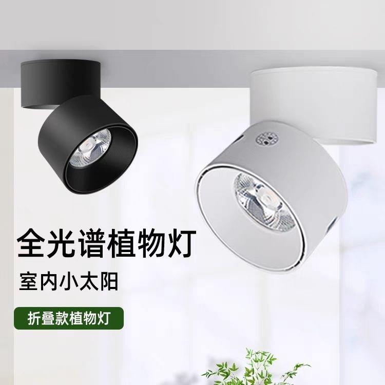 Imitation Light-Free Full-Sun Punched Led Photosynthesis Plant Fill Light Spotlight Home Growth Indoor Spectrum