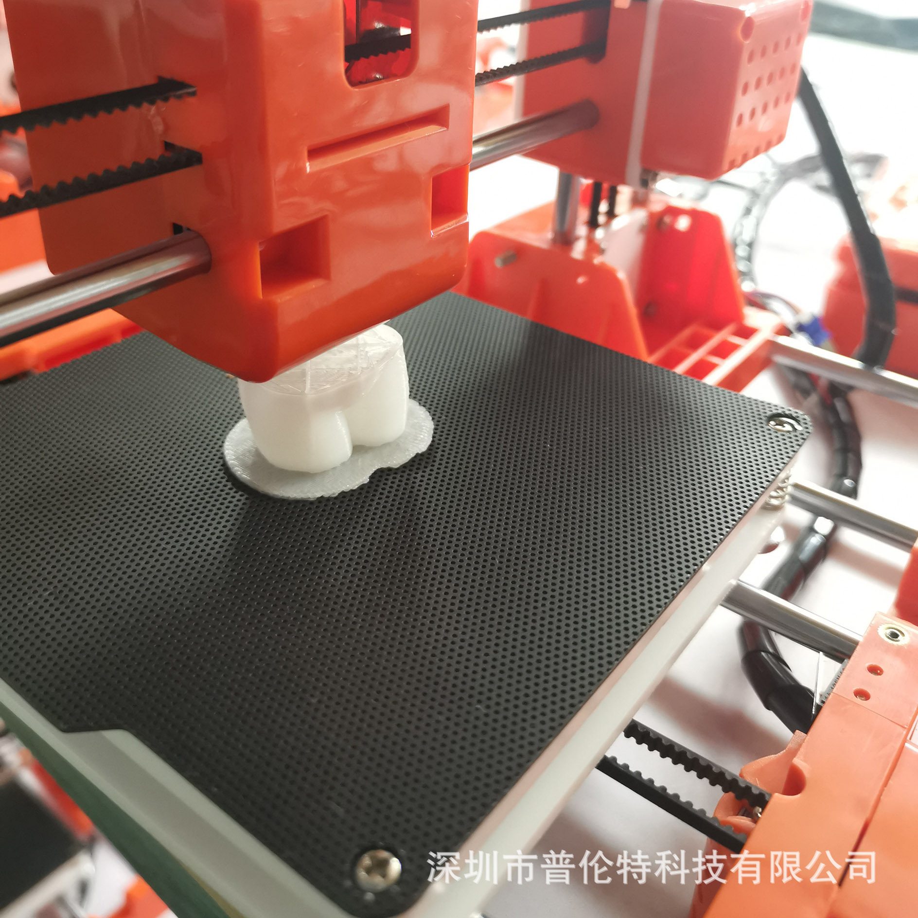 Easythreed Tinkerbell 3D Printer K7 K1 X1 K9 Printer Pattern