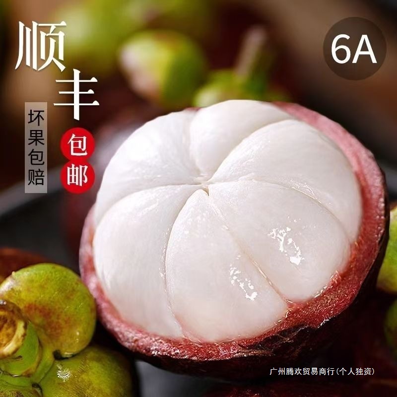 Thailand Imported Fresh Large Mangosteen Seasonal Fruit for Pregnant Women 4A/5A/6A Whole Box Free Shipping Special Grade Support