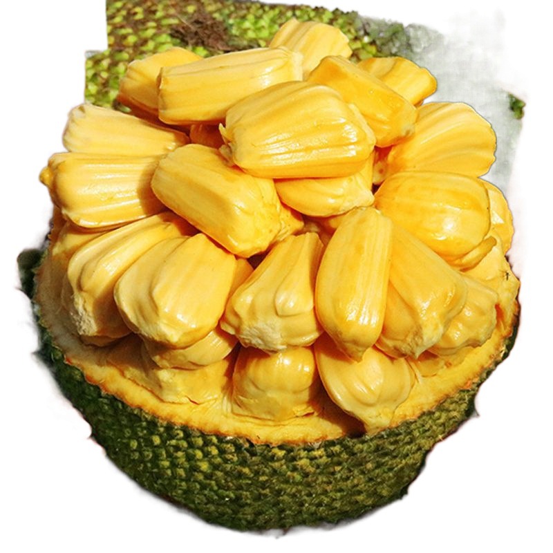 Hainan Sanya Yellow Flesh Jackfruit Seasonal Tropical Fresh Fruit Jackfruit Fake Durian One Whole Free Shipping Red