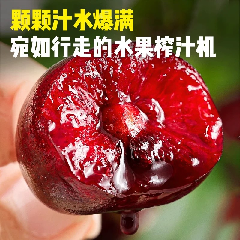 Meizao Large Cherry Fresh Fruit Free Shipping Shandong Seasonal Whole Box Domestic Cherries