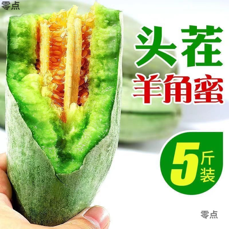 Аутентичная свежая медовая дыня из Шаньдуна, свежий сезонный фрукт для беременных, оптовая продажа медовой дыни и канталупы с бесплатной доставкой