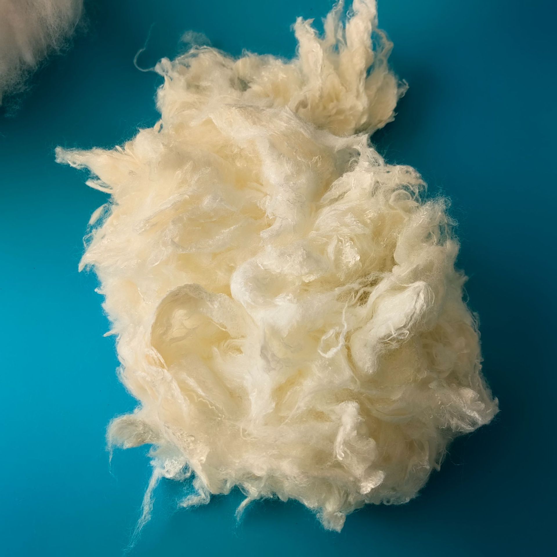 Viscose fiber 1.2D * 38 viscose fiber staple fiber degradable viscose fiber cellulose fiber manufacturers