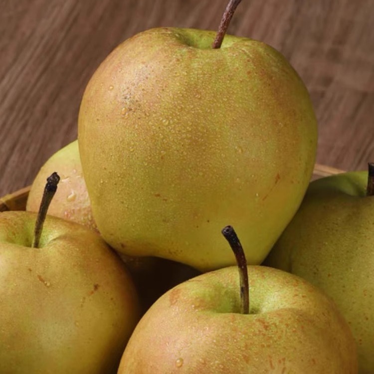 Shanxi Yulu Fragrant Pear Fruit Orchard Straight Hair 5kg Whole Box Wholesale Freshly Picked Crisp Sweet Seasonal Fruit Crisp Pears