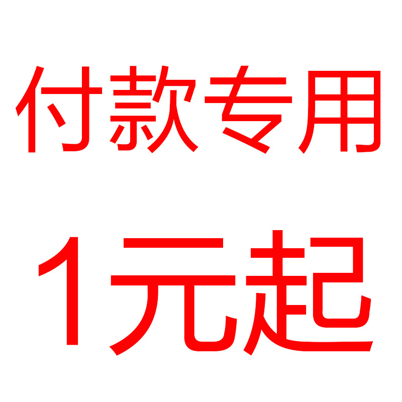 [Special Link for Payment]