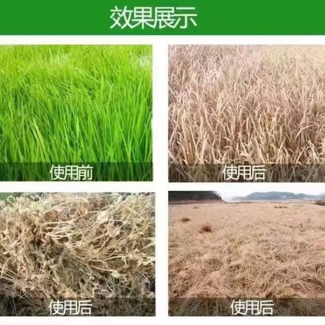 Tricyazone Removes Large Trees, Bamboo, Shrubs, Weeds, Railways, Highways, Factory Weed Killers, Dead Root Herbicides, Tricyazone