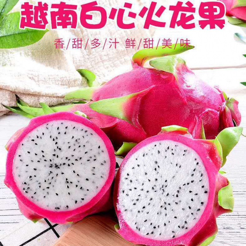 Vietnam White Heart Pitaya Fresh Fruit for Pregnant Women 5/ 1.5kg Non-Red Meat Free Shipping 2 Pitayas Wholesale