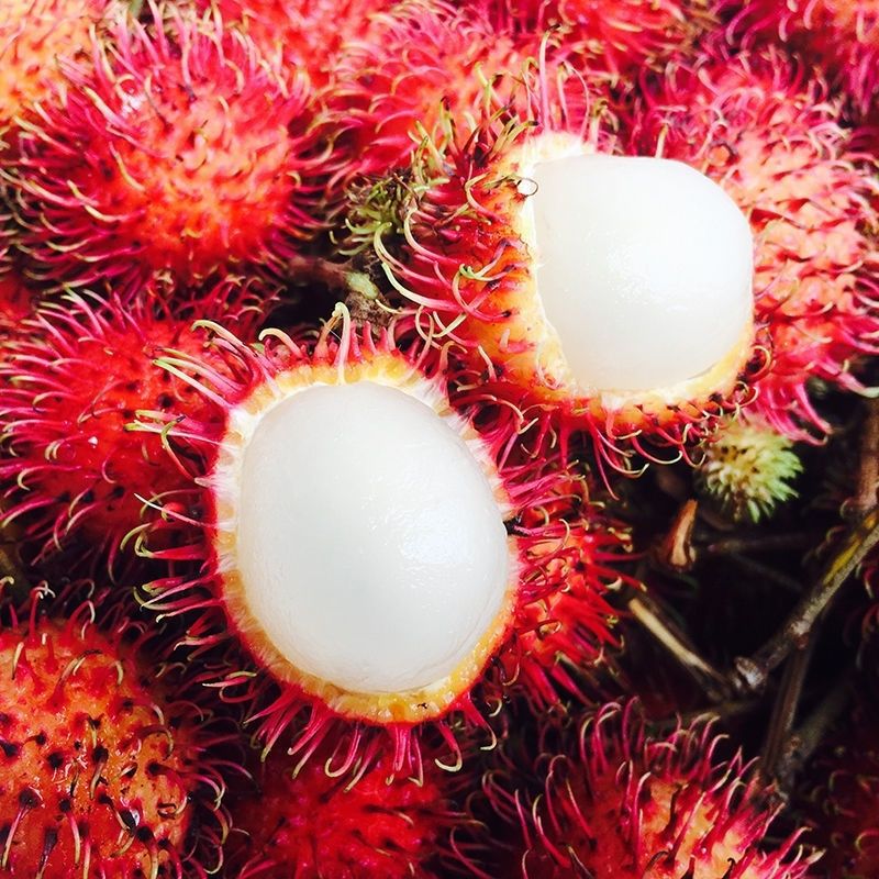 Fresh Seasonal Fruit Rambutan 2.5kg Whole Box of Rambutan Fruit Red Peony Thai Tropical Fruit for Pregnant Women