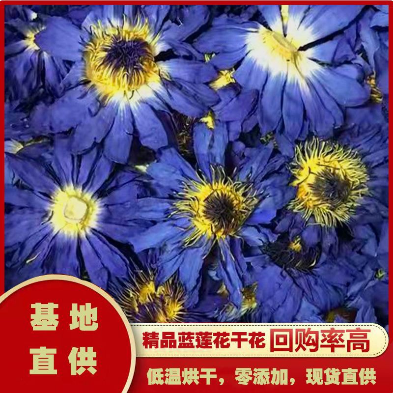 Сушеный синий лотос 2025, сушеная водяная лилия, девятого сорта парфюмерный лотос, замороженный сушеный синий лотос
