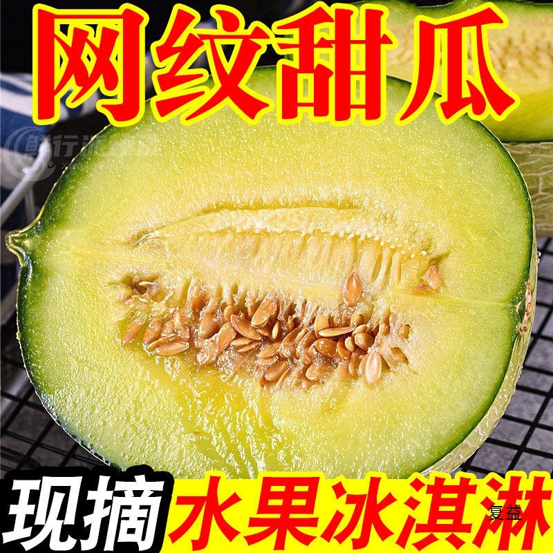 Hainan Reticulated Honeydew Melon Ice Cream, Rose Melon, Sweet Melon, Cantaloupe, White Melon, Fresh Straight from the Origin