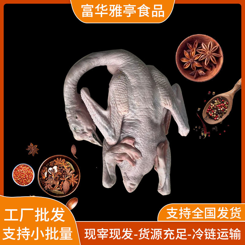 Аутентичная свежая еда из головы гуся, оптовая продажа, свежезамороженная, большая голова гуся, буженина из гуся