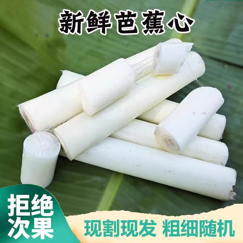 Sf Natural Wild Banana Stems for Cooking, Banana Heart Stems, Hollow Banana Stems for Cooking, Pack of 1.0kg