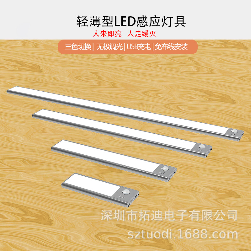 Independent Station Drainage Explosion Induction Wardrobe Lamp Dimming Color Adjusting Bedside Lamp USB Charging Long Thin Cabinet Lamp