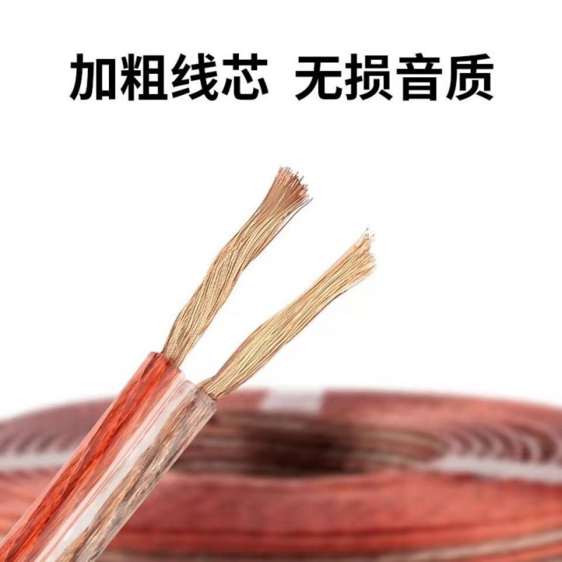 Professional Audio Cable Speaker Cable Speaker Cable Audio Cable Link Cable Audiophile-Grade Amplifier Car Surround Cable Universal