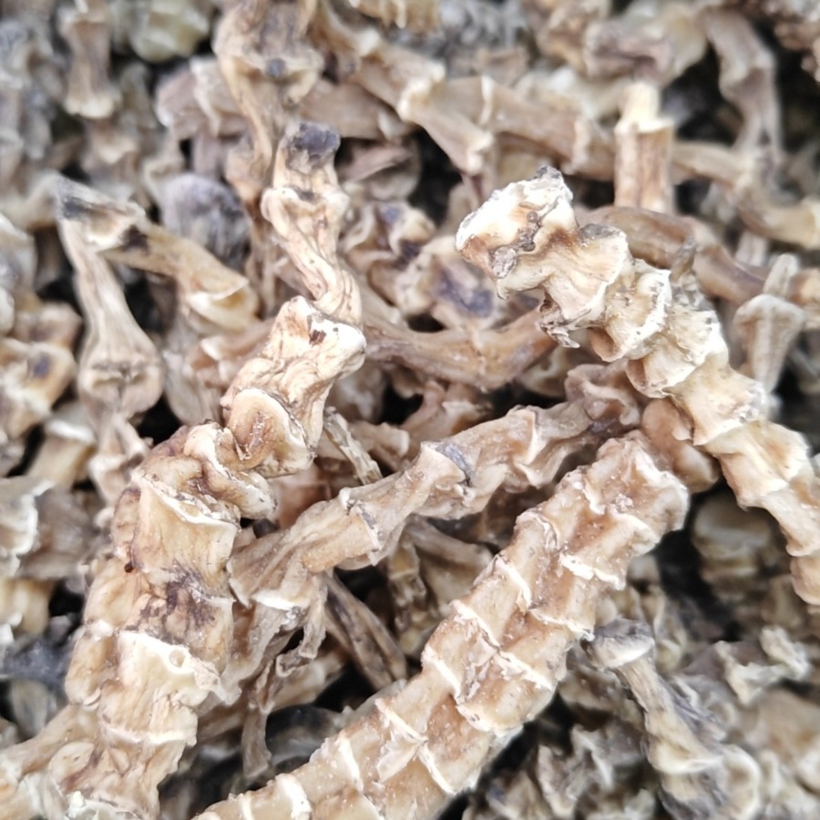 Wholesale of Wild Yunnan Specialty Tongkat Ali (Panax Notoginseng) from Its Place of Origin. Please Contact Privately for Bulk Orders