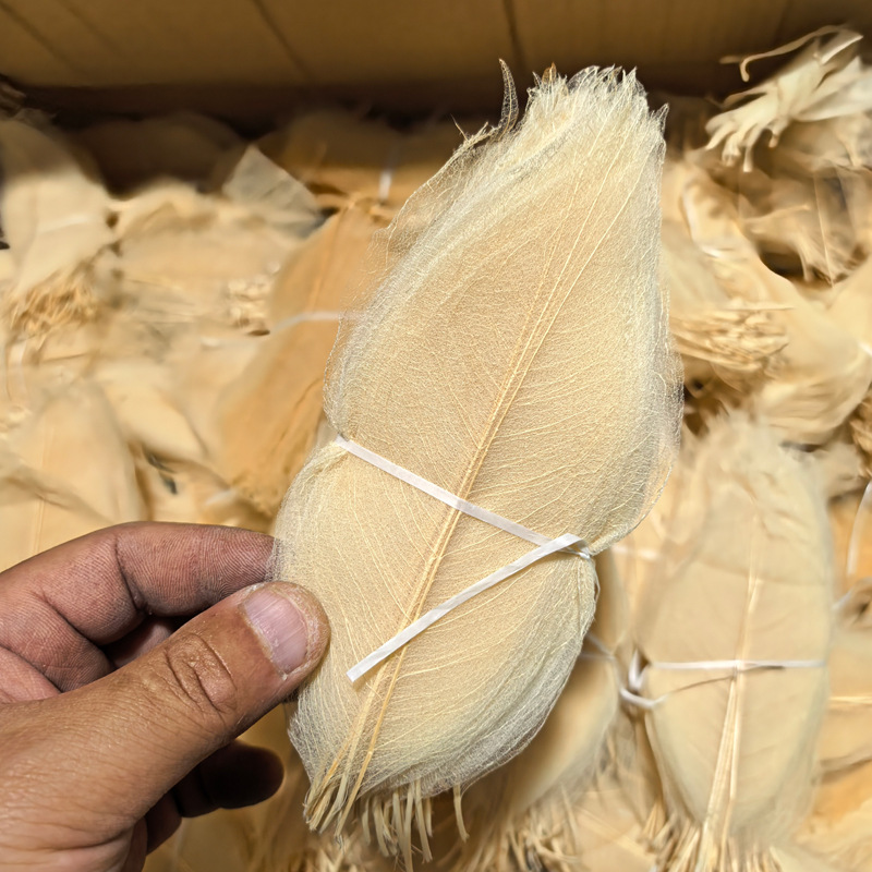 Cicada's Wings Natural Magnolia Leaf Vein True Leaves diy Restaurant Plate Shooting Props Primary School Students' Handmade Sticker