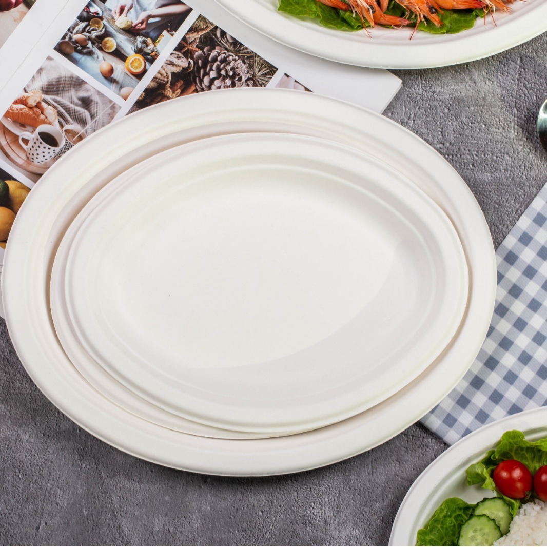 12inch Sugar Cane Pulp Oval Plate Dinner Plate Tableware Pulp Dish Disposable School Unit Company Canteen Dinner Plate