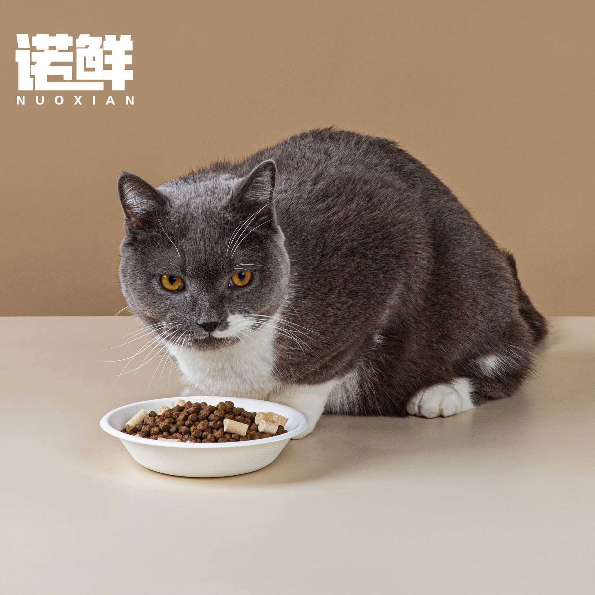 Disposable cat food bowl cat tableware pet fresh food bowl degradable paper bowl stray cat dog Rice Bowl thickened