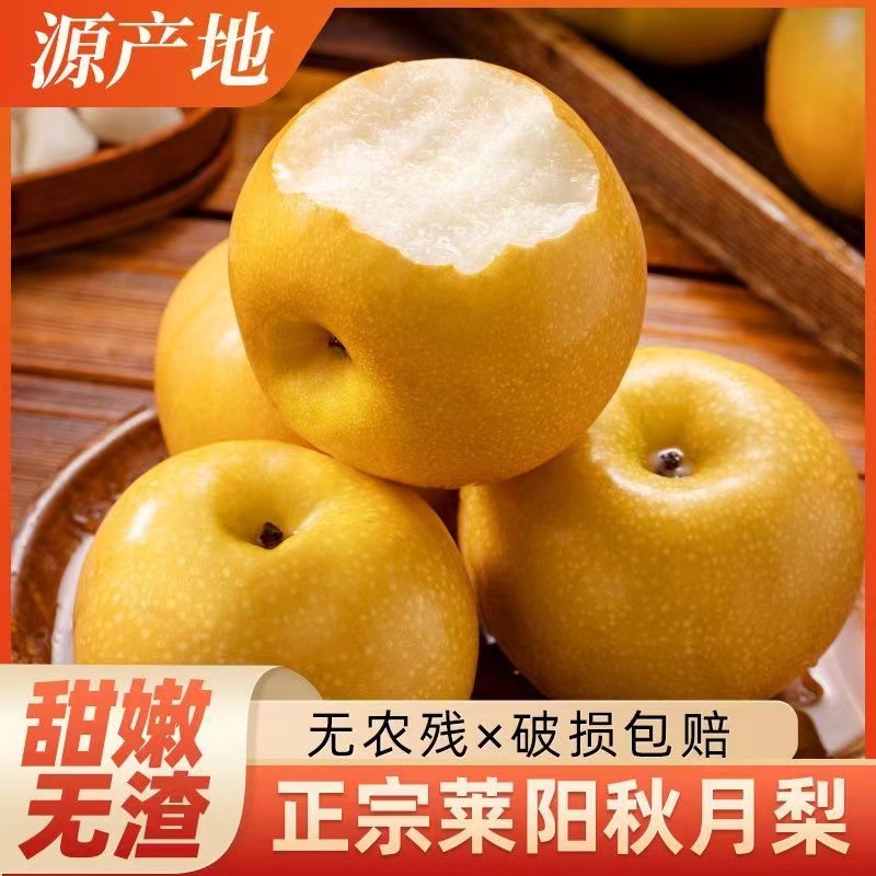 Freshly Picked Shandong Laiyang Authentic Qiuyue Pear Fruit, Fresh, Crisp and Sweet, Seasonal Whole Box of Pears, Naturally Ripe on the Tree