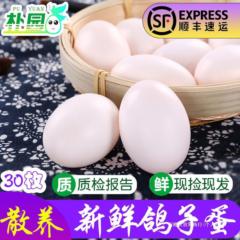 Pigeon Eggs, 15-60 Free-Range Pigeon Eggs Gift Box for Pregnant Women, Fresh, Large and High Quality
