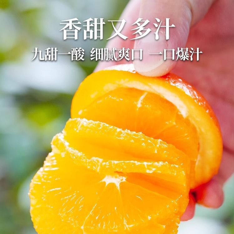 Jiangxi Gannan Navel Orange Fresh Seasonal Fruit 5kg Oranges Authentic Ganzhou Jelly Hand-Peeled Rock Sugar Sweet Orange Free Shipping