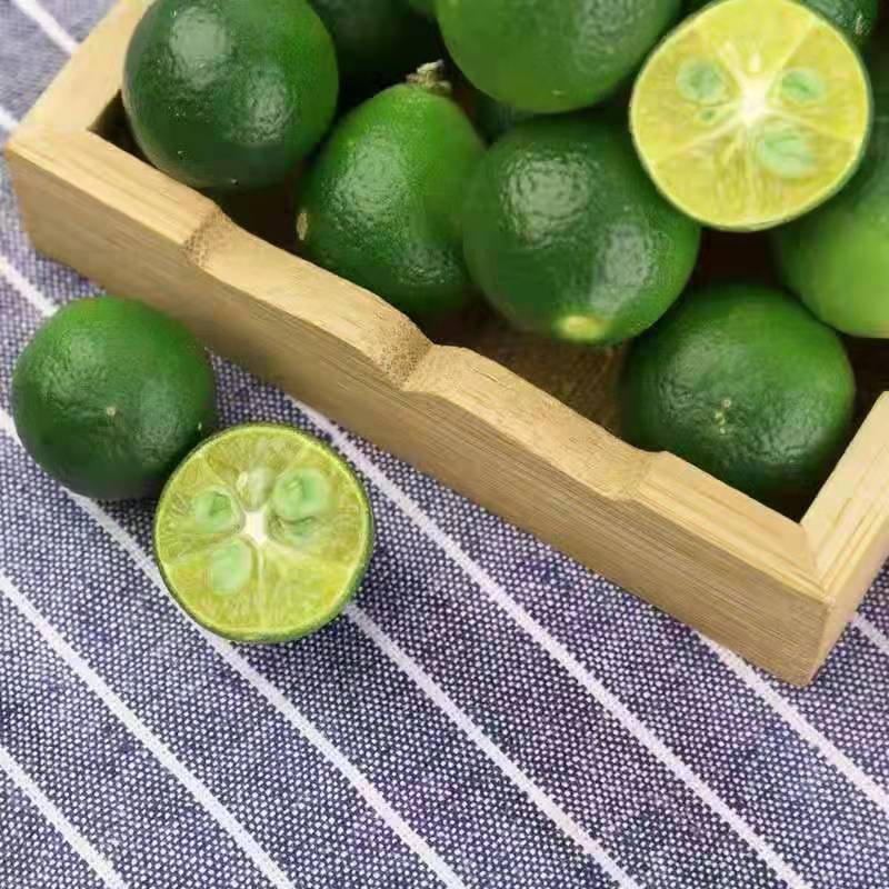 Hainan Fresh Small Green Orange Fruit, Fresh Seasonal Green Kumquat, Lemon Sour Green Orange Peel, Thin Juice, Milk Tea Shop Exclusive