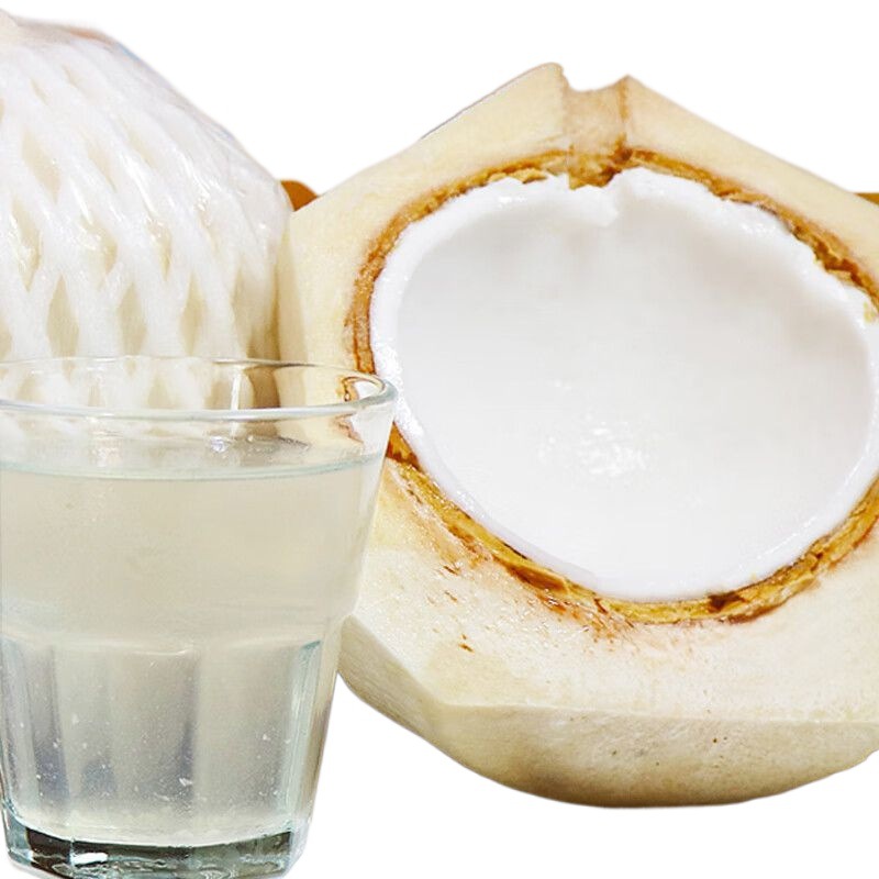 Hainan Coconut Green Big Fruit 4/6/9 Capsules Freshly Picked Seasonal Fresh Coconut Fruit Wholesale One Whole Box Source Factory Delivery