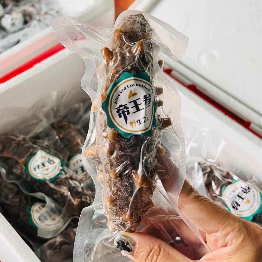 Dalian Ready-To-Eat Sea Cucumber Fresh Bottom-Cultured Liaoning Sea Cucumber Individually Packaged Non-Lightly Dried Sea Cucumber Wholesale Factory