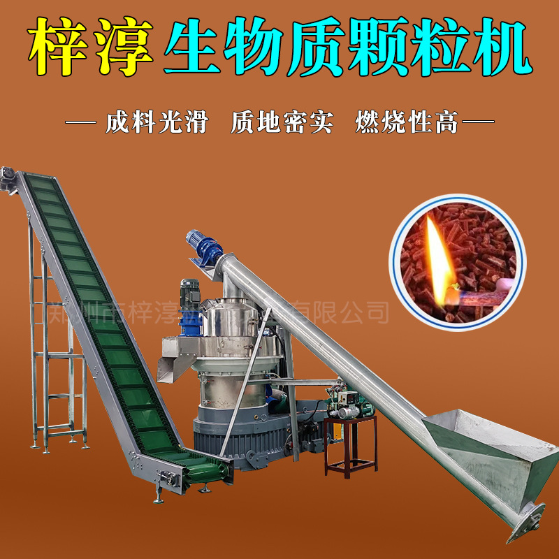 Solid Waste Biomass Pelletizing Machine Production Line Straw Wood Chips Peanut Shell Sawdust Pelletizer