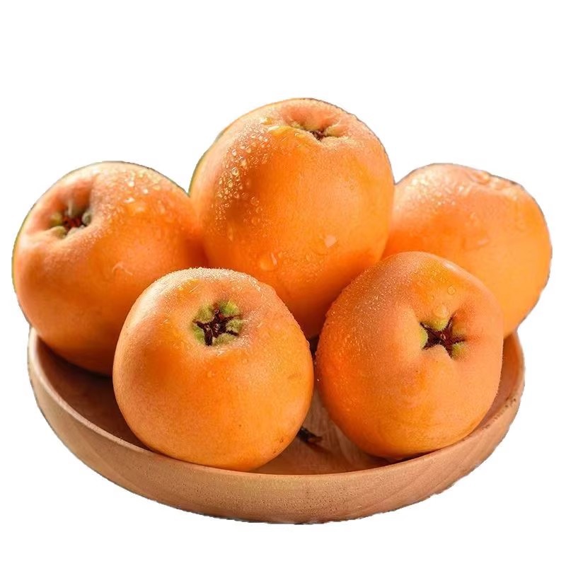 Yunnan Mengzi Sweet and Sour Loquat 2.5kg Fresh Fruit Picked in Season for Pregnant Women and Children, Changhong Pipa with Sweet and Sour Taste