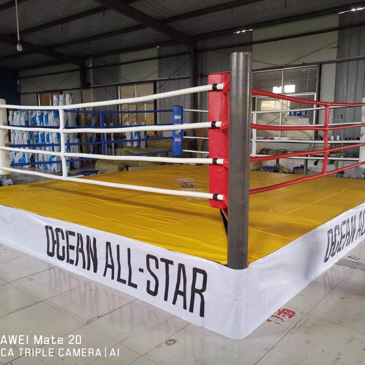 Professional 5M*5M*50Cm Elevated Wrestling Rings Stage Boxing Ring