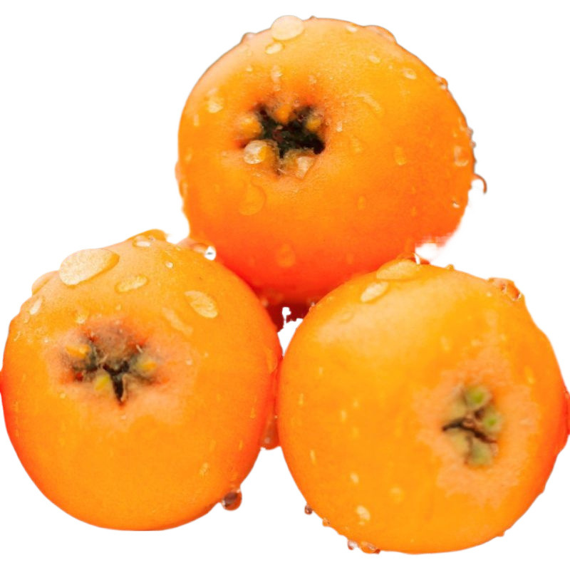 Fresh Seasonal Fruit from Miyi, Sichuan: Sweet High-Altitude Large Five-Star Loquat Mixed Batch
