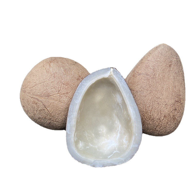 Indian Coconut Cut Strips Big Coconut King Coconut Strips Sea Coconut Sea Coconut King Chicken Soup 250g Cantonese Soup Wholesale