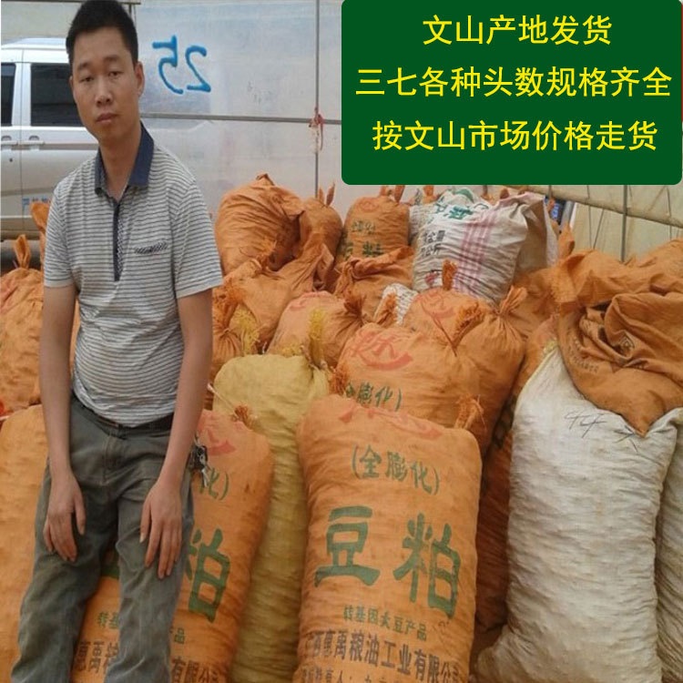 Barley Wenshan Panax Notoginseng Special Wholesale Yunnan Wenshan Spring Panax Notoginseng Tianqi Panax Notoginseng Powder Wenshan Origin Medicinal Materials