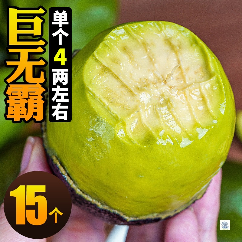 Отборный перуанский авокадо, 15 свежих сезонных фруктов, бесплатная доставка, не спелый, первоклассный, кремовый вкус