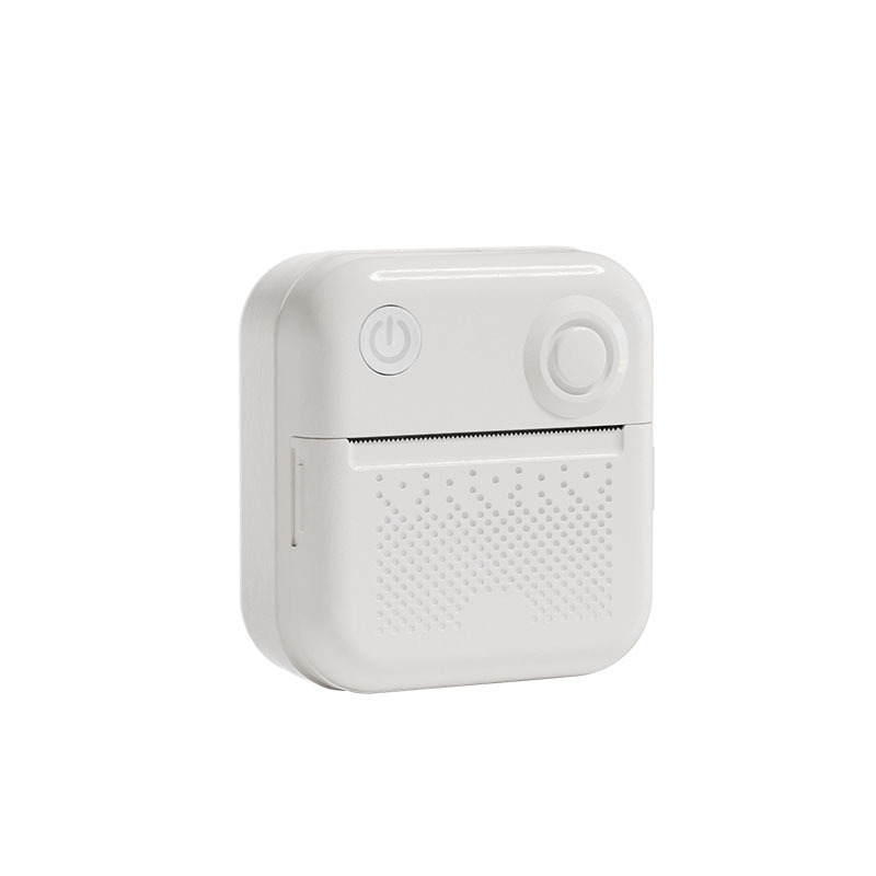 Mini Label Printer Thermal Printing Home Portable Printing Photo Document Wrong Question Sorting Home Storage Machine