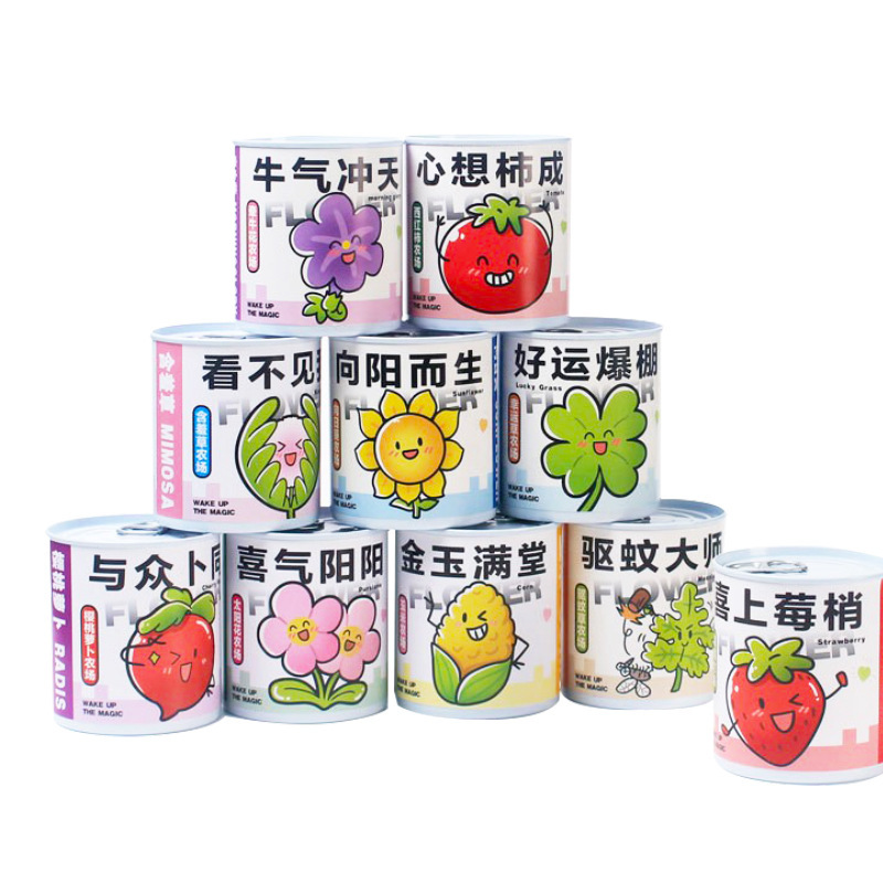 Blessing Plant Small Potted Desktop Flower Green Plant Seed Can Planting Blind Box Can Be Customized as a Kidsren's Gift