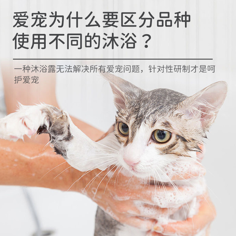 Baolai beauty pet shower gel 500ml special pet dog shampoo cat shower gel wholesale